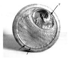 Cours_M_Rupture_3eme_GIM_S6 [Mode de compatibilité]
